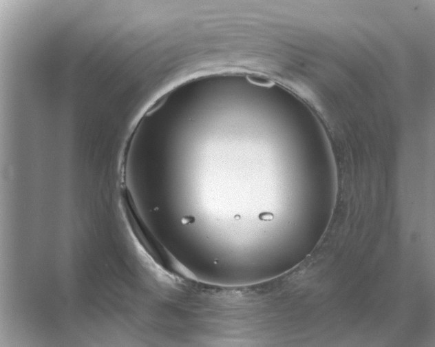 X0000071771524200607071248