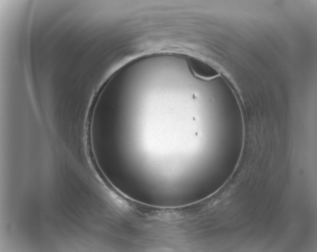 X0000071771525200607071248