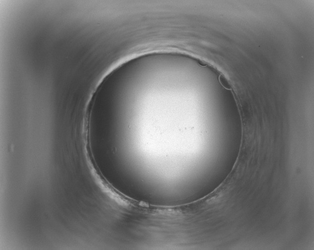 X0000071771526200607071248