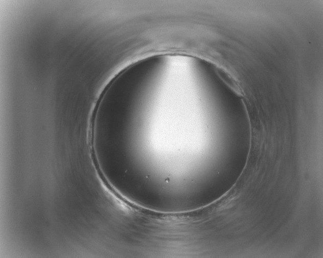 X0000071771527200607071248