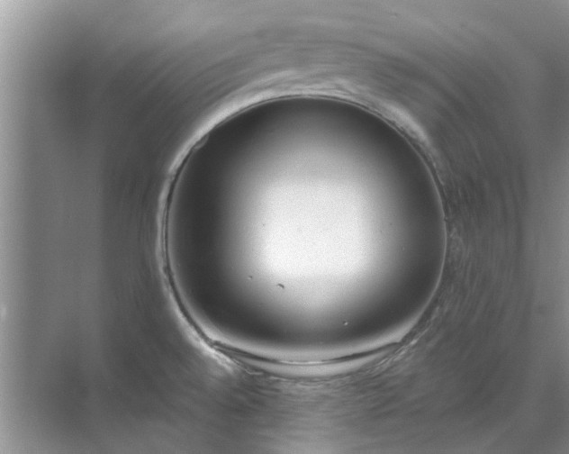 X0000071771528200607071248