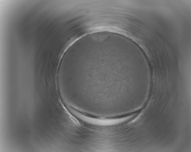 X0000071771529200607071248