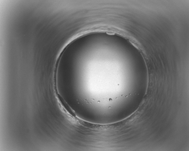 X0000071771530200607071248