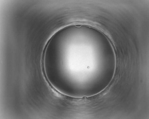 X0000071771533200607071249