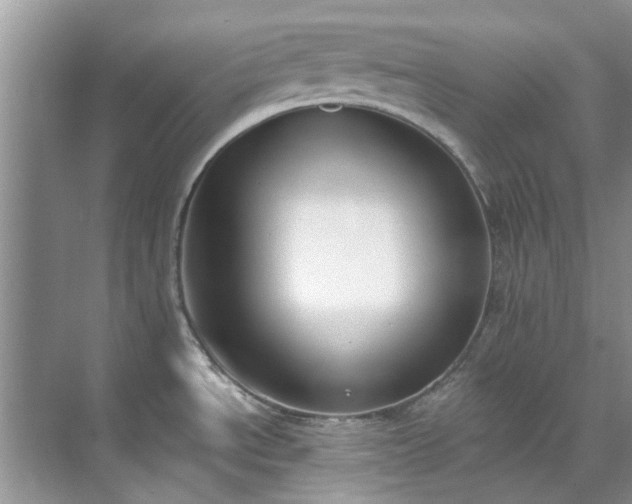 X0000071771534200607071249