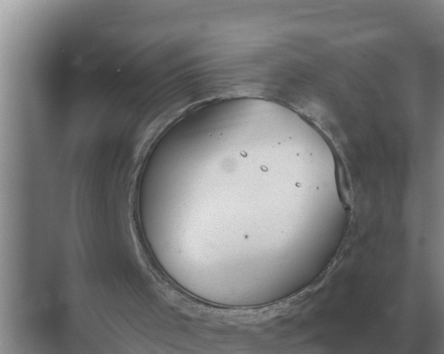 X0000071770001200607150040