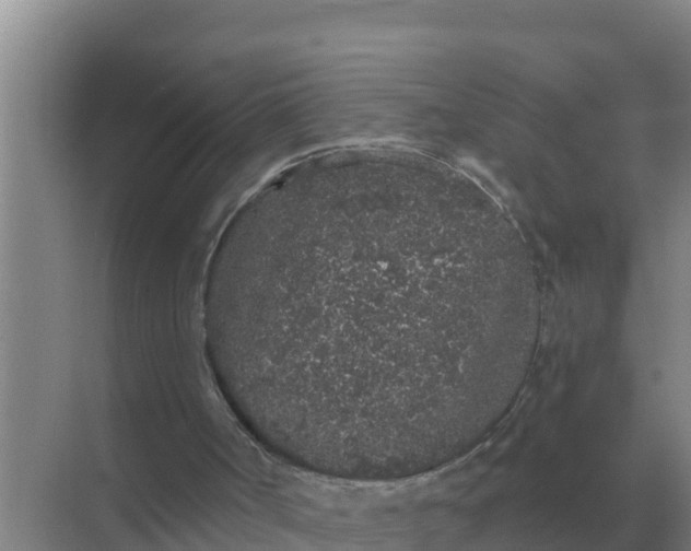 X0000071770002200607150040