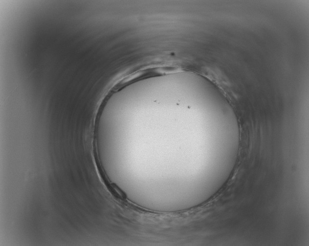 X0000071770003200607150040