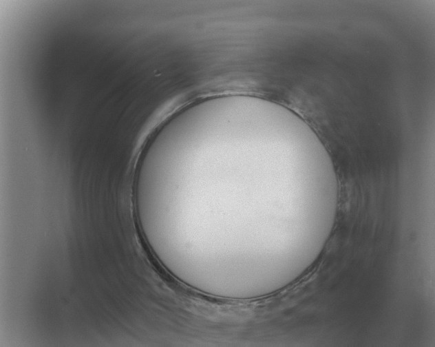 X0000071770004200607150040