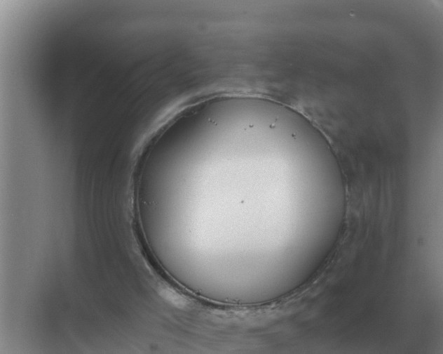 X0000071770005200607150040