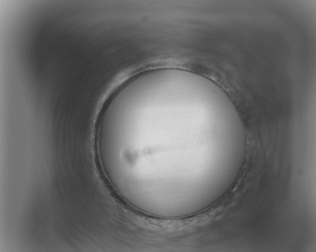 X0000071770006200607150040