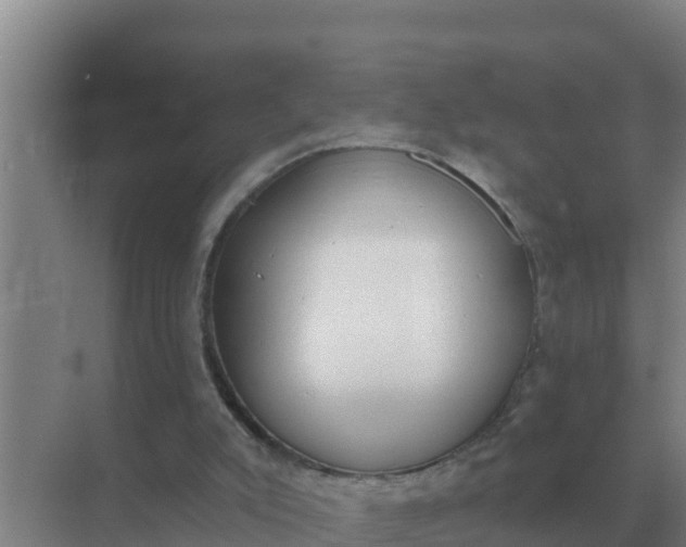 X0000071770007200607150040