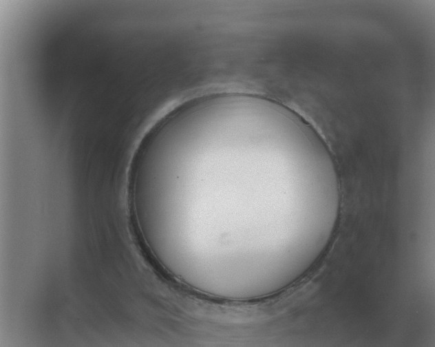 X0000071770008200607150040