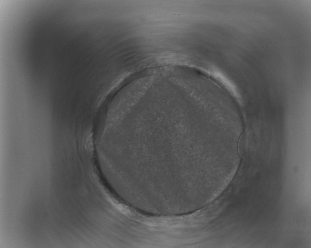 X0000071770009200607150040