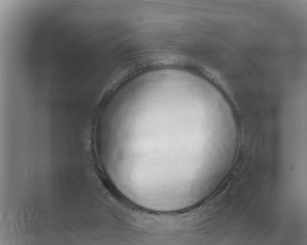 X0000071770010200607150040