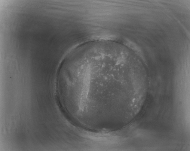 X0000071770012200607150040