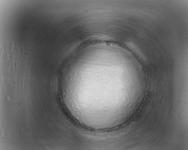 X0000071770014200607150040