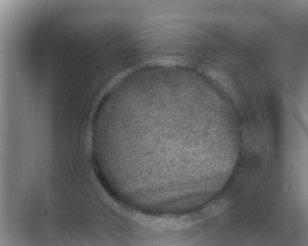 X0000071770016200607150040