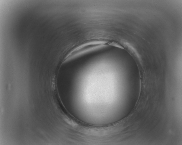 X0000071770017200607150040