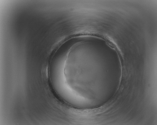 X0000071770019200607150040