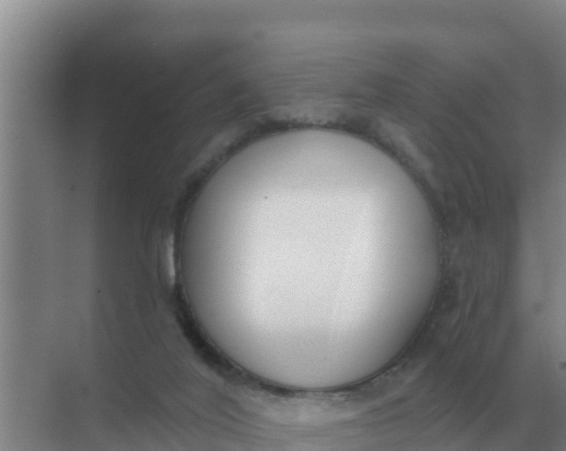 X0000071770020200607150040