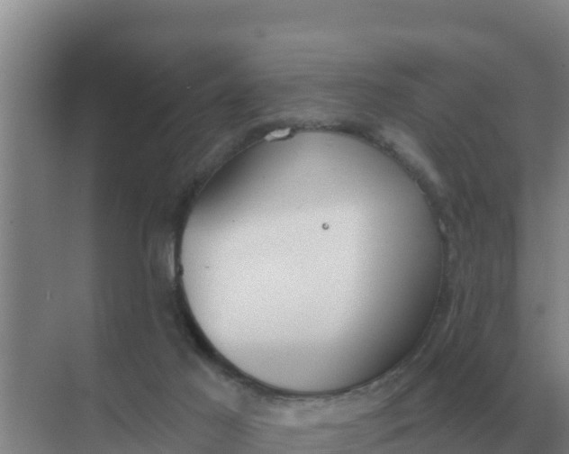 X0000071770021200607150040