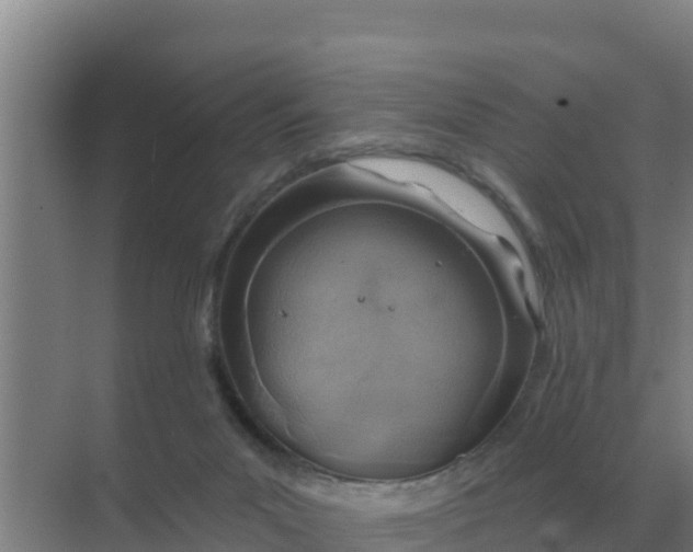 X0000071770023200607150040