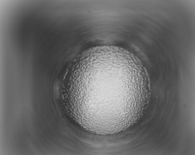 X0000071770026200607150040