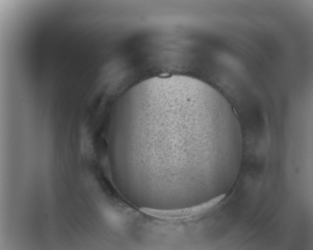 X0000071770029200607150040