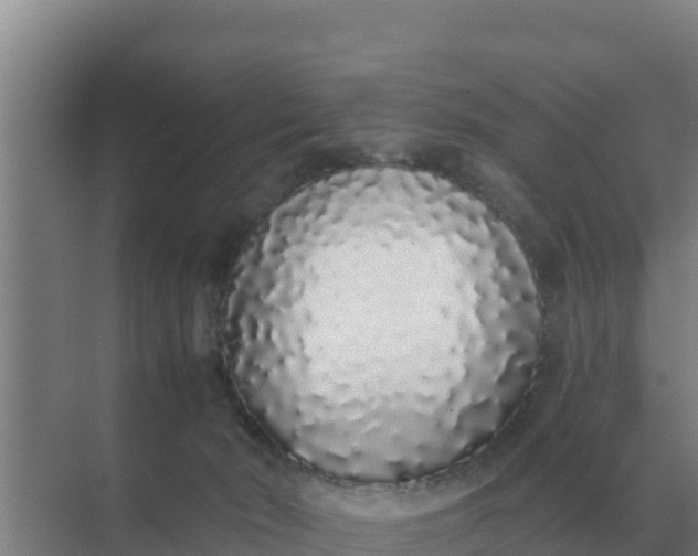 X0000071770030200607150040