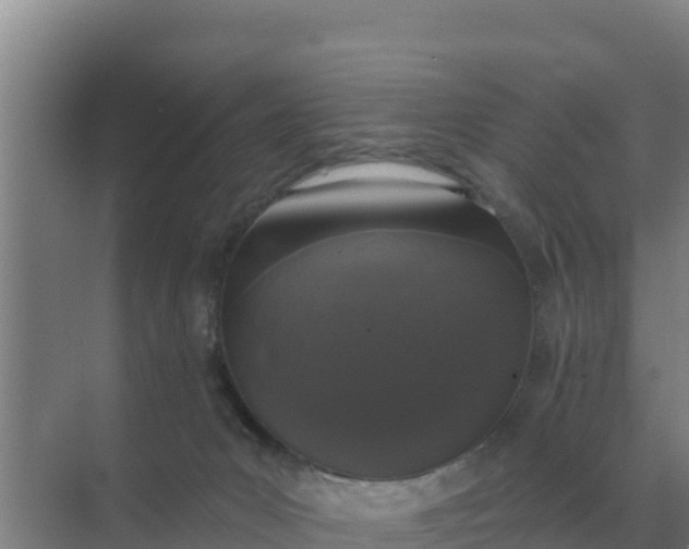 X0000071770031200607150040