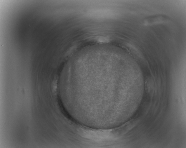 X0000071770032200607150040