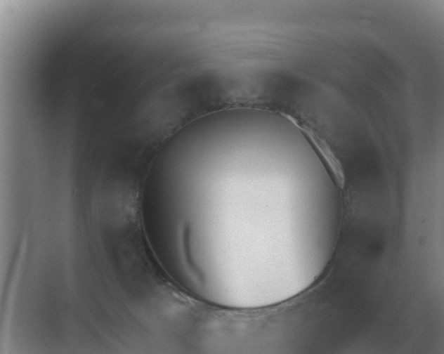 X0000071770033200607150040