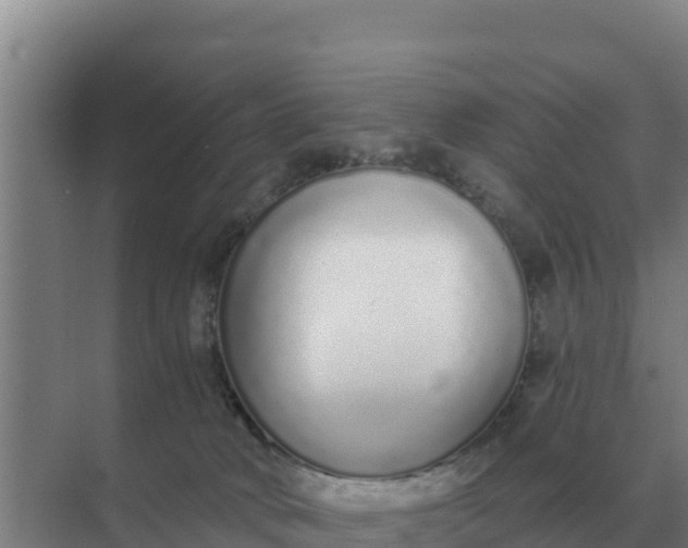 X0000071770034200607150040