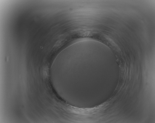 X0000071770035200607150040