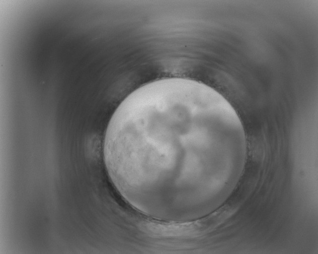 X0000071770036200607150040