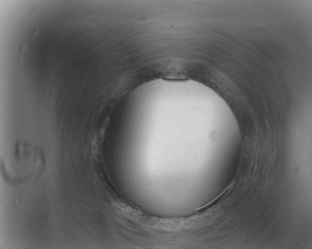 X0000071770037200607150040