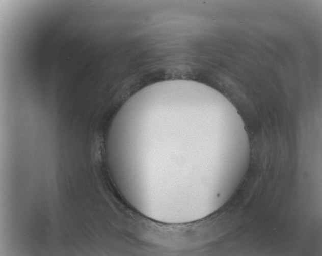 X0000071770038200607150040