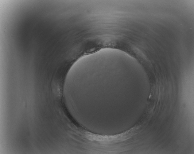 X0000071770039200607150040