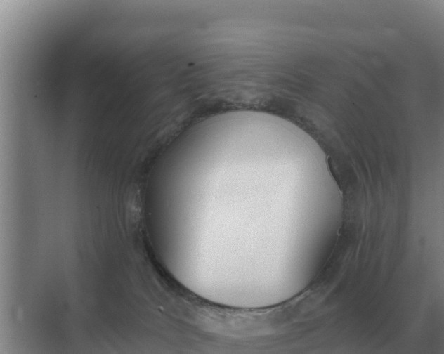 X0000071770040200607150040