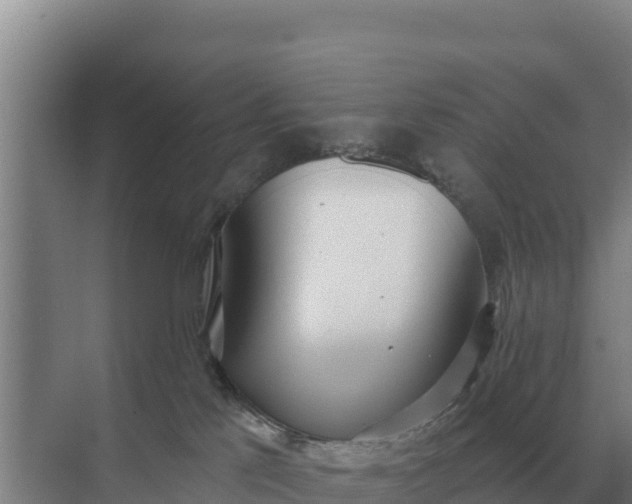 X0000071770041200607150040