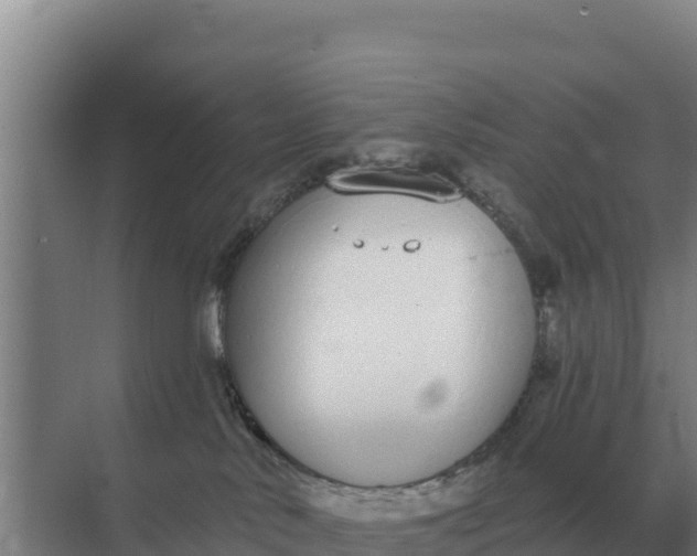 X0000071770042200607150040