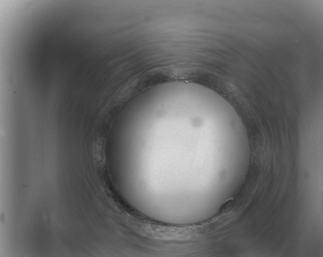 X0000071770044200607150040