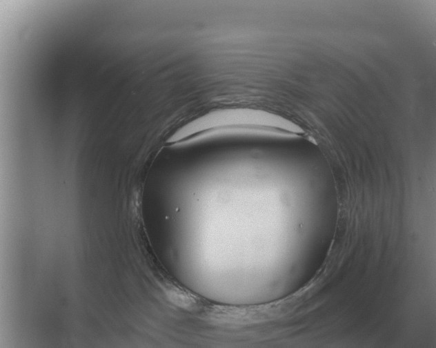 X0000071770045200607150040