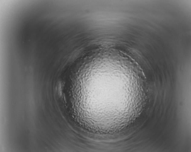 X0000071770046200607150039