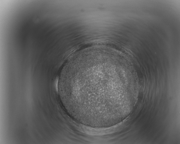 X0000071770047200607150039