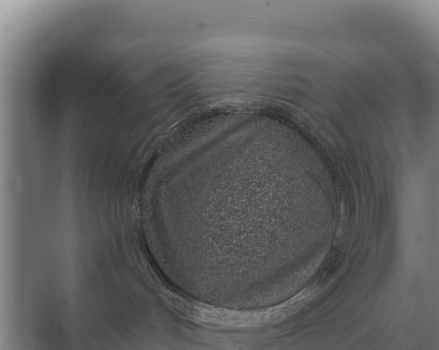 X0000071770048200607150039