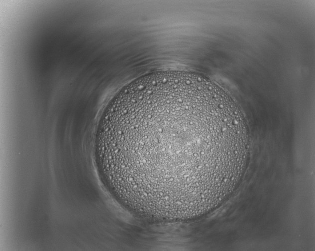 X0000071770049200607150039