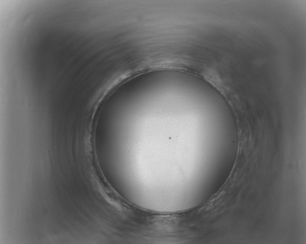 X0000071770050200607150039