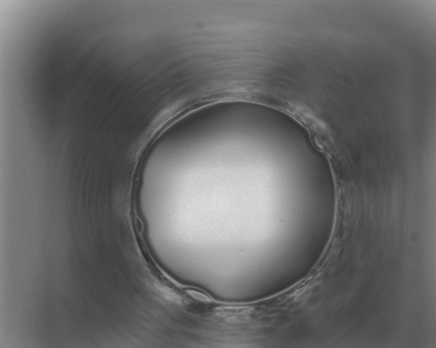 X0000071770051200607150039